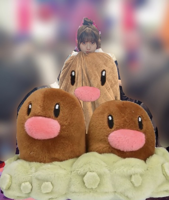 （2024.02.08 ）飛鸟日记